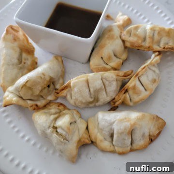 Air fried dumplings on a white plate with dipping sauce