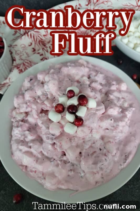 Quick and Easy Cranberry Fluff Salad 2 Cranberry Fluff text over a large white bowl with cranberry fluff salad garnished with fresh cranberries and marshmallows