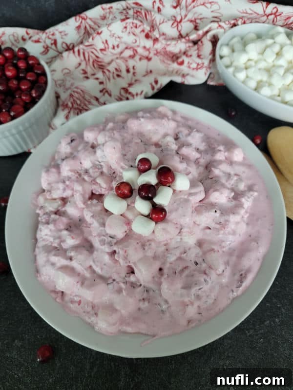 Quick and Easy Cranberry Fluff Salad 10 cranberry fluff salad in a white bowl
