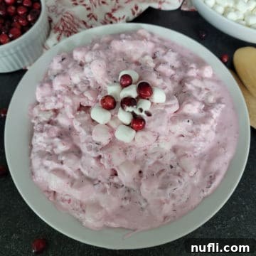Quick and Easy Cranberry Fluff Salad 12 Cranberry Fluff Salad in a white bowl next to cranberries