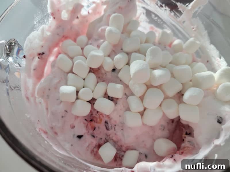Quick and Easy Cranberry Fluff Salad 8 mini marshmallows on cool whip cranberry salad for cranberry fluff salad
