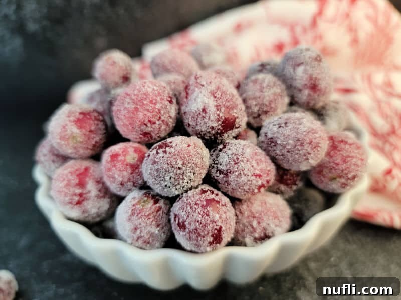 A beautiful bowl of finished sugared cranberries, ready to be served
