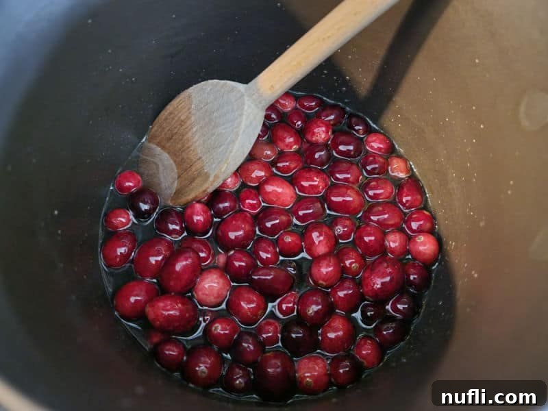 Fresh cranberries being gently stirred into warm simple syrup in a saucepan for candied cranberries