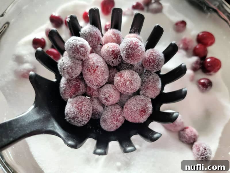 Freshly sugared cranberries being lifted with a slotted spoon, showcasing their sparkling coating