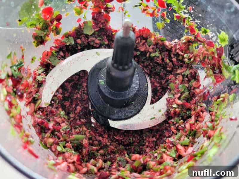 cranberry salsa chopped in a blender