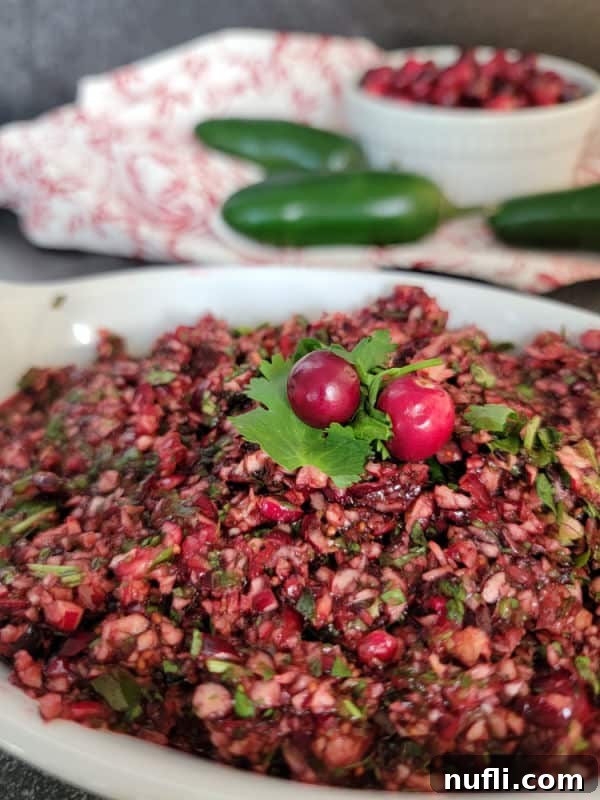 Cranberry salsa in a white bowl garnished with a cilantro leaf and cranberries