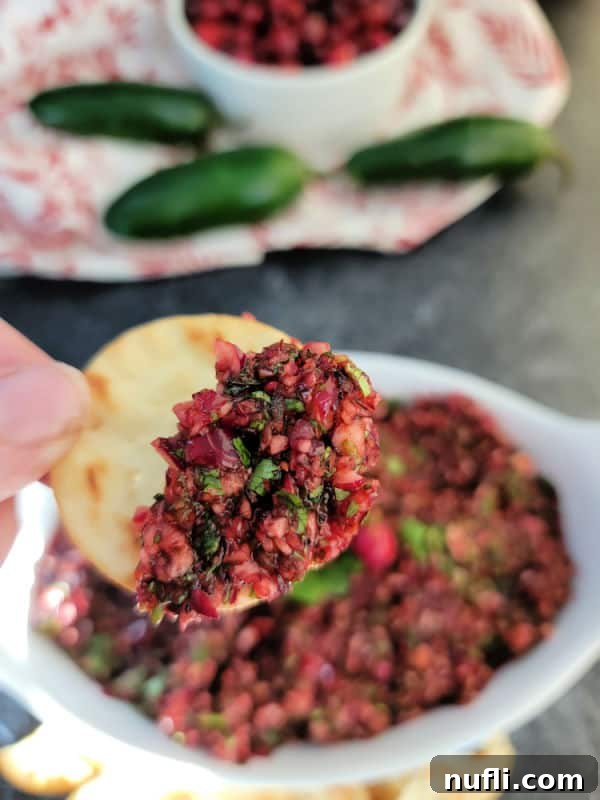 cranberry salsa on a round cracker above a bowl filled with salsa