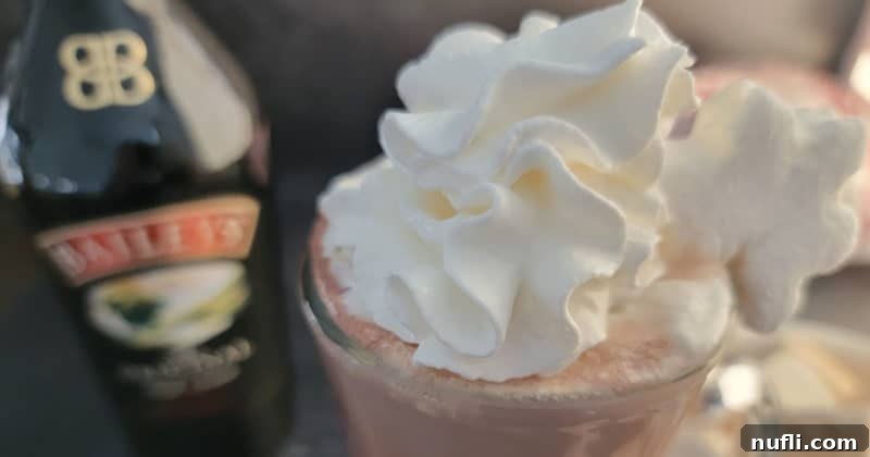 Effortless Baileys Hot Chocolate 7 Baileys Hot Chocolate with whipped cream in a glass mug
