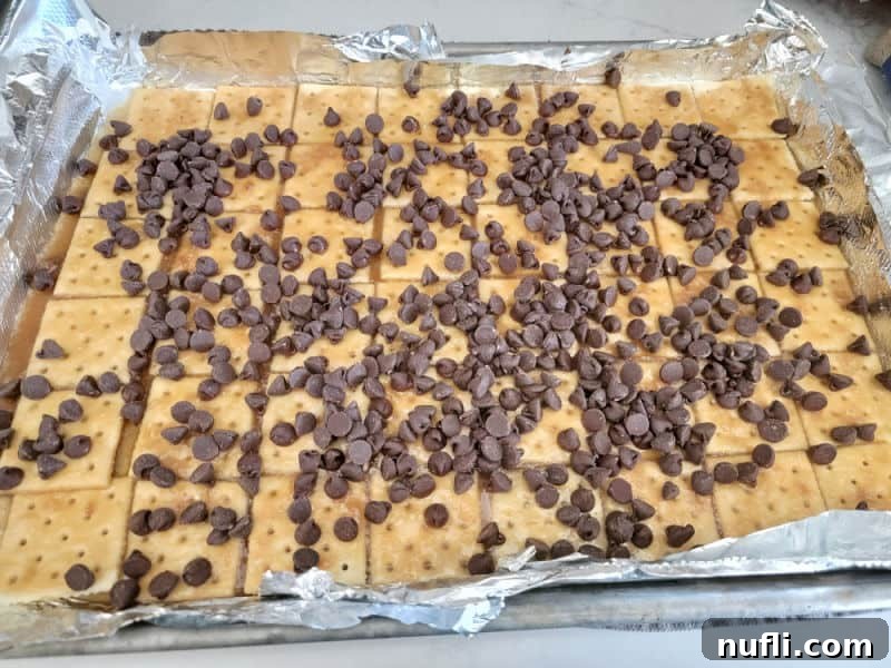 Irresistible 4 Ingredient Christmas Crack 9 Chocolate chips spread over saltine crackers to make Christmas Crack Saltine Cracker Toffee