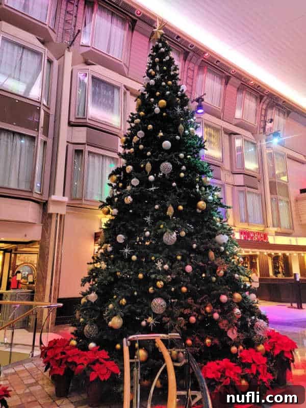 Decorated Christmas tree with 3 stories of windows in the background