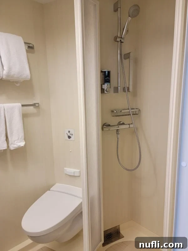 A compact cruise ship stateroom bathroom, featuring a walk-in shower, a toilet, and neatly hung towels on the wall, maximizing efficiency in a small space.