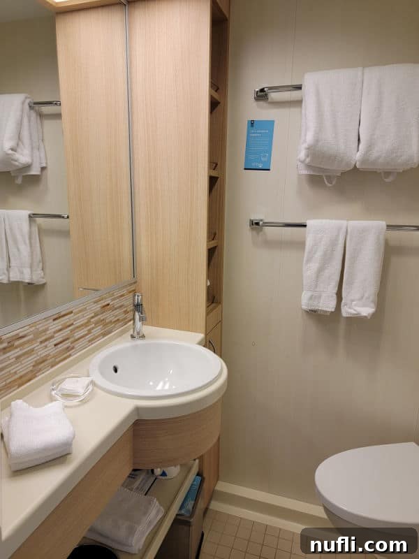 A small yet functional cruise ship stateroom bathroom, complete with a toilet, towels neatly arranged on racks, a compact sink, and a storage cabinet.