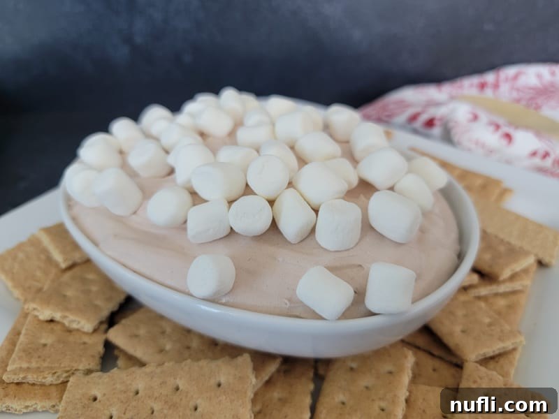 Hot chocolate dip in a white bowl garnished with mini marshmallows surrounded by graham crackers