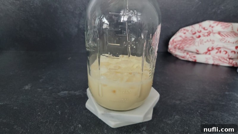 Decadent Eggnog Mudslide 5 Vodka being added to the mason jar already containing eggnog and ice, for the eggnog mudslide cocktail.