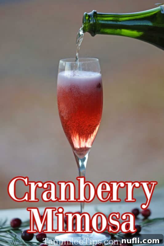 A champagne flute filled with a ruby-red Cranberry Mimosa, with champagne being poured into it, creating a delicate fizz. The text 'Cranberry Mimosa' is subtly visible.
