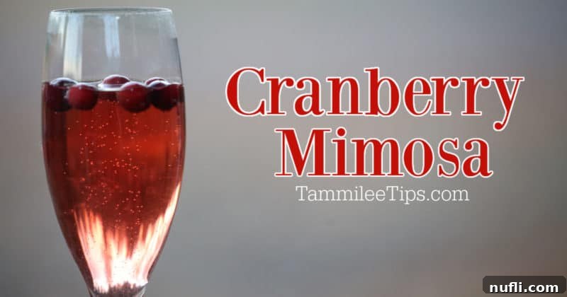A beautifully presented Cranberry Mimosa in a champagne flute, sparkling with bubbles and garnished with fresh cranberries, ready to be enjoyed at a festive gathering.