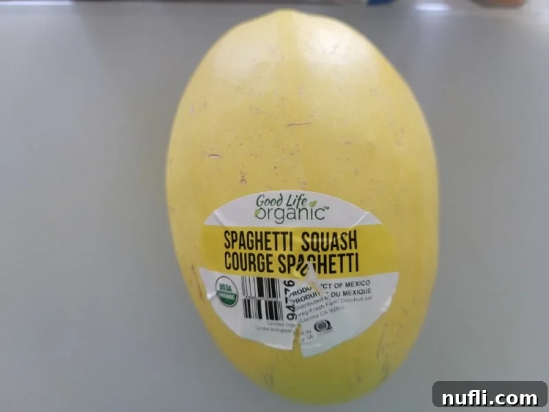 Easy Air Fryer Spaghetti Squash 3 A vibrant, organic spaghetti squash sits on a rustic wooden surface, highlighting its natural beauty and readiness for cooking.