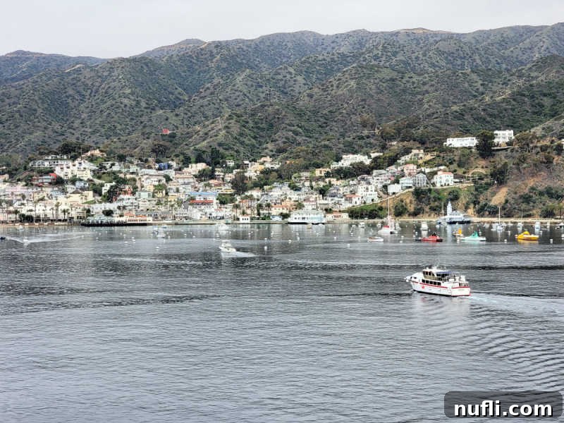 Carnival Radiance 4-Day Baja Mexico Escape 9 Catalina island harbor with boats and mountain in the background