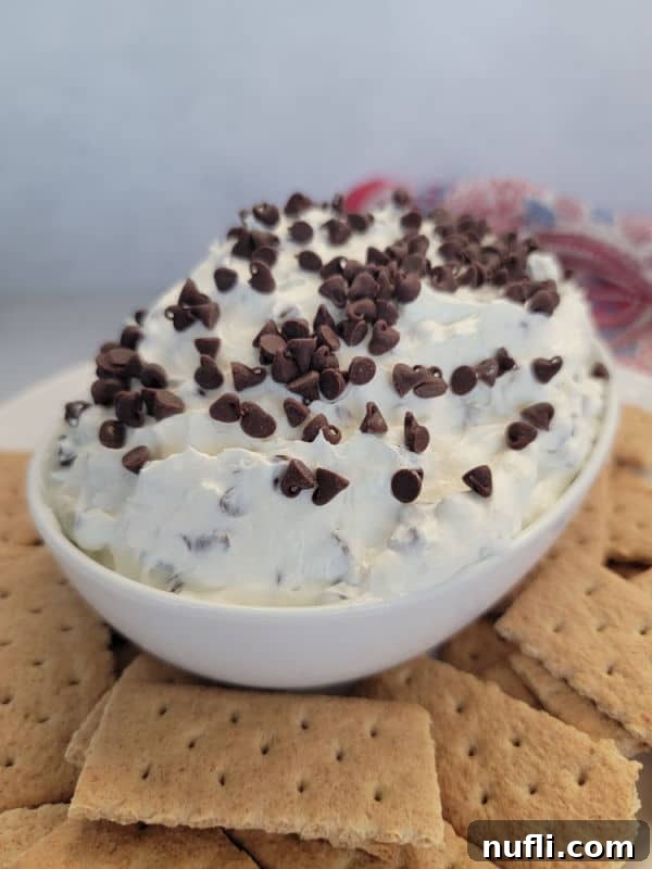 mini chocolate chips on booty dip in a white bowl surrounded by graham crackers 