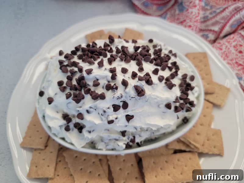 Booty dip with mini chocolate chips in a white bowl surrounded by graham crackers 