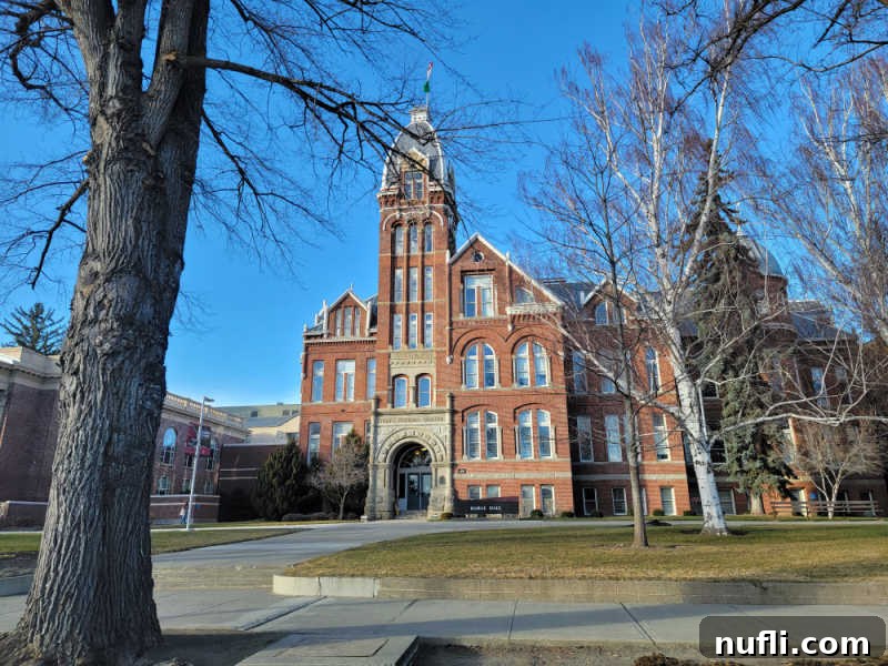 Large historic building behind trees