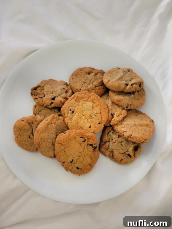 A plate piled high with warm, delicious chocolate chip cookies, a comforting treat on the Holland America Eurodam.
