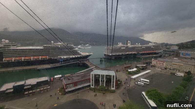 A grey, overcast day as seen from the Mount Roberts tram, with two Holland America cruise ships docked in Juneau's harbor below.