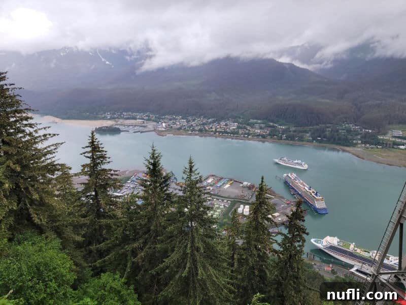Looking down on Juneau with multiple cruise ships in the water and mountains on the other side. 
