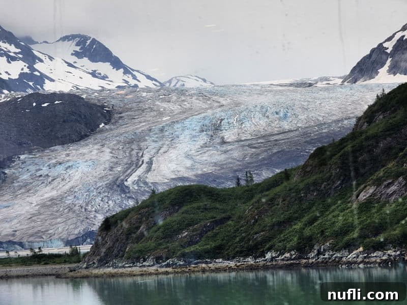 A magnificent large glacier, majestically surrounded by verdant green hills, as seen during the Holland America Alaska Cruise.