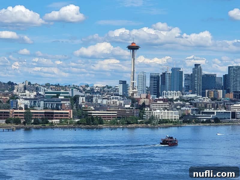 Seattle skyline fro the water with the Space of Needle