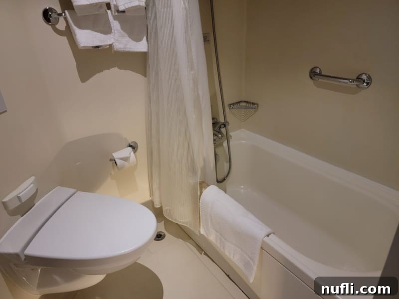 Eurodam stateroom bathroom with toilet and bathrub