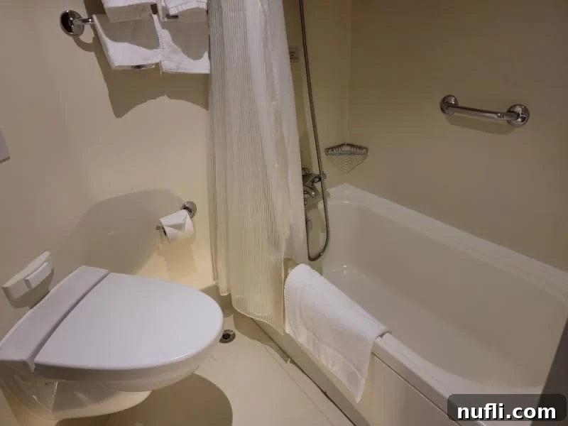 Eurodam stateroom bathroom with toilet and bathrub