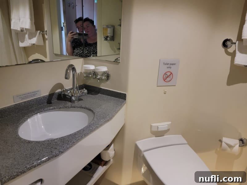 Eurodam stateroom bathroom with toilet and sink, mirrors