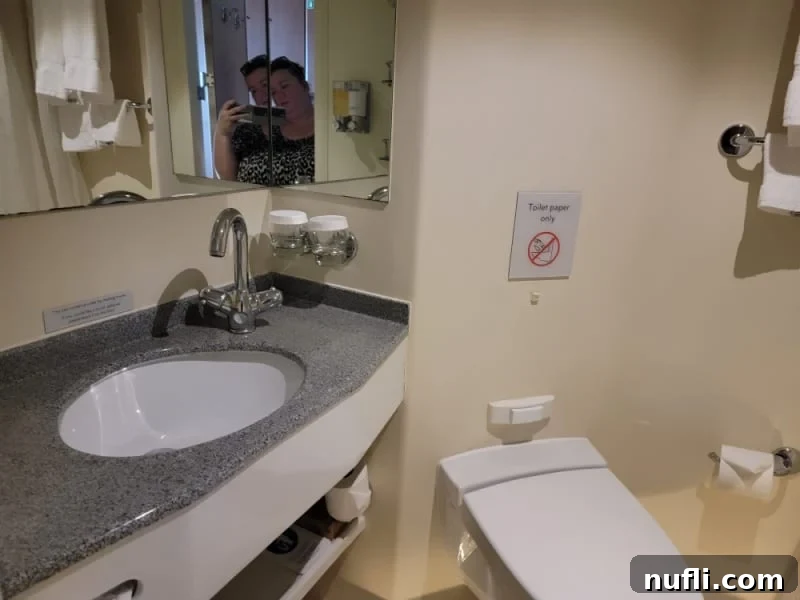 Eurodam stateroom bathroom with toilet and sink, mirrors