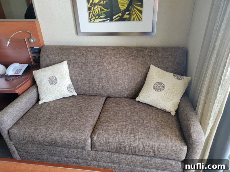 brown couch with two pillows in Eurodam stateroom 