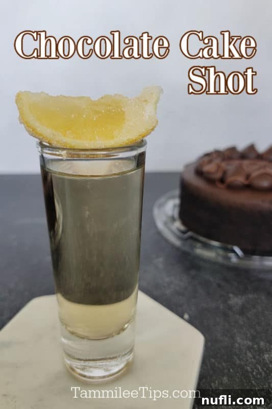 A perfectly prepared Chocolate Cake Shot, garnished with a sugared lemon slice, set beside a delectable chocolate cake, highlighting its uncanny resemblance in flavor.