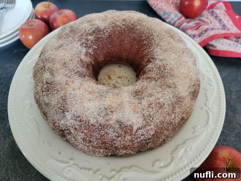 A beautiful Apple Cider Donut Cake, perfectly coated in cinnamon sugar, presented on a white serving plate alongside fresh, crisp apples, ready to be enjoyed.