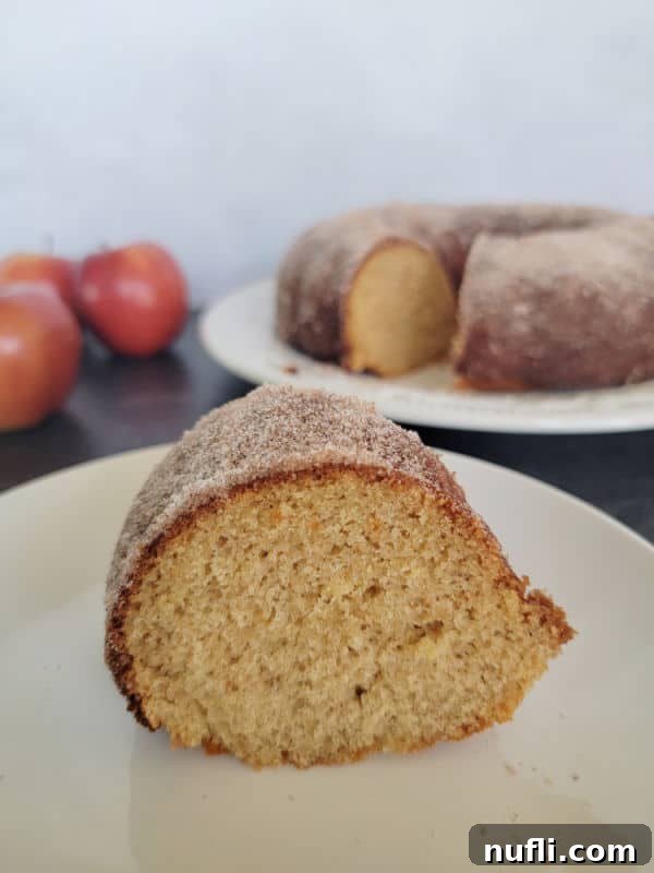 A perfect slice of Apple Cider Donut Cake on a white plate, showcasing its moist texture and cinnamon sugar coating, with the full cake and fresh apples in the background.