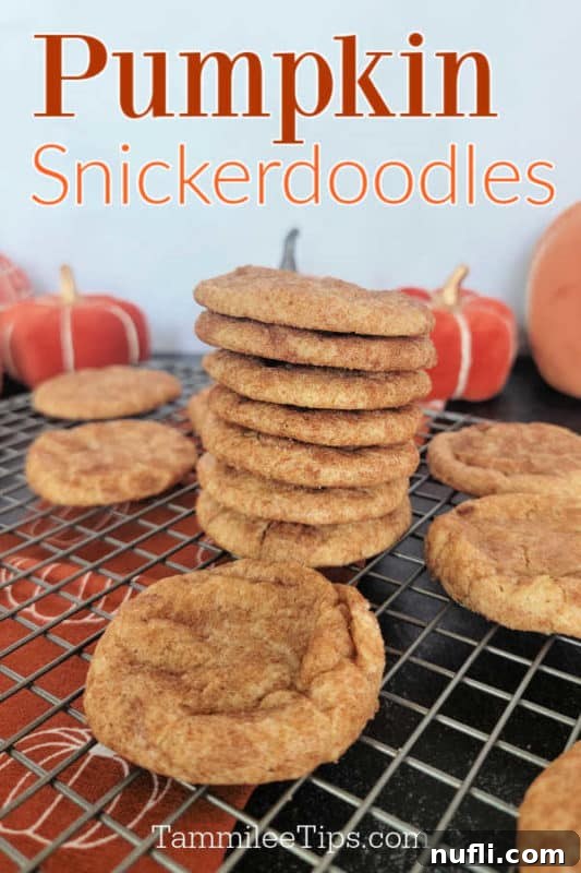 Pumpkin Snickerdoodles over a stack of cookies on a wire rack with a pumpkin cloth napkin