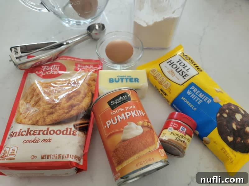 Pumpkin Snickerdoodle ingredients - snickerdoodle cookie mix, canned pumpkin, egg, butter, pumpkin pie spice, chocolate chips, flour, and a cookie scoop