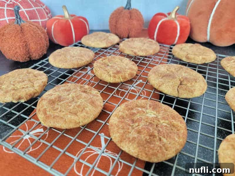 Pumpkin Snickerdoodles on a wire rack over a pumpkin napkin with cloth napkins in the background
