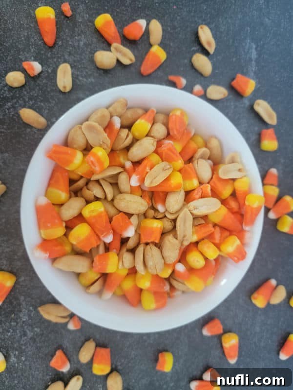 Sweet & Salty Autumn Blend 4 White bowl filled with candy corn and peanuts