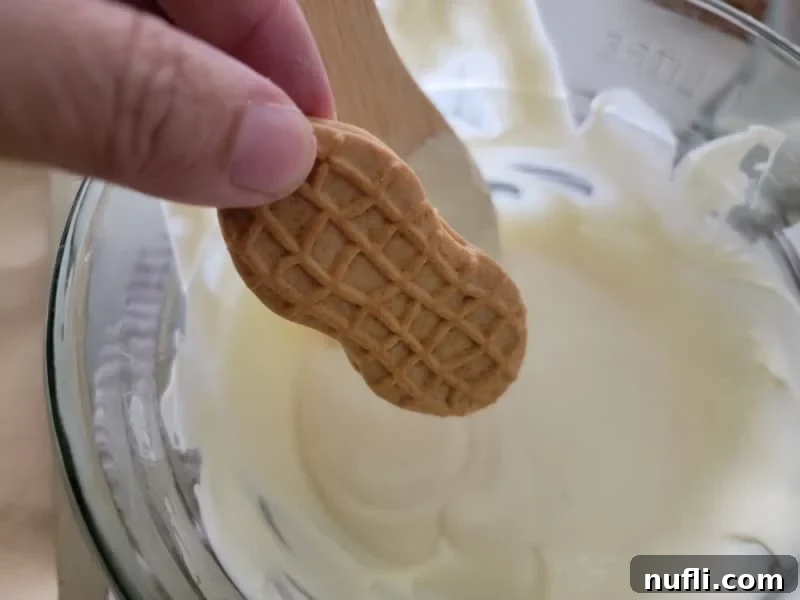 Nutter butter cookie dipping into melted white chocolate 