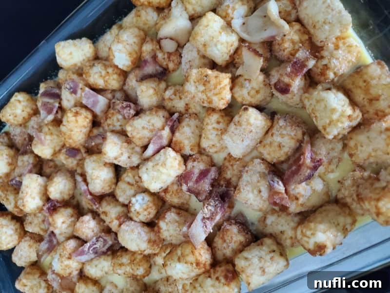 A casserole dish with the egg, ham, and bacon mixture topped generously with a layer of frozen tater tots and additional bacon slices.