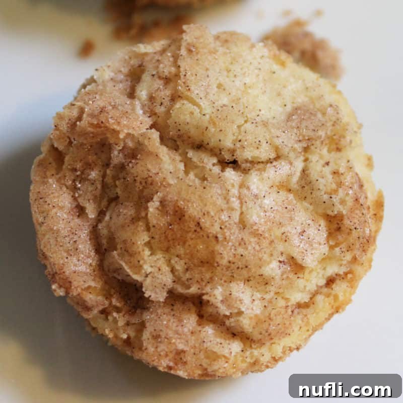 A delightful Snickerdoodle Muffin, perfectly dusted with cinnamon and sugar.