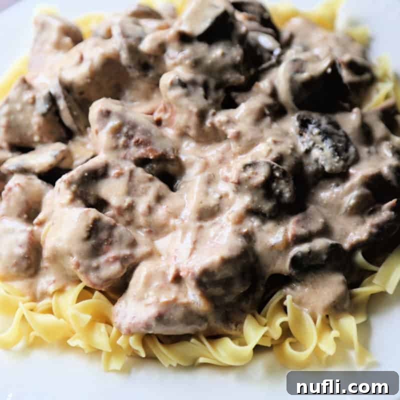 Hearty porter stroganoff served over egg noodles on a white plate.