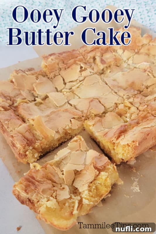 Ooey Gooey Butter Cake text over squares of cake bars