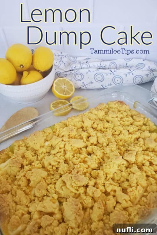 Lemon Dump Cake text over a cake pan with lemon cake near lemon slices and lemons
