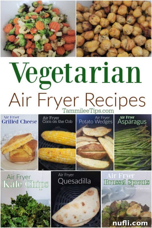 30 Simple Flavorful Vegetarian Air Fryer Dishes 2 Vegetarian Air Fryer Recipes text in a collage of air fryer recipes