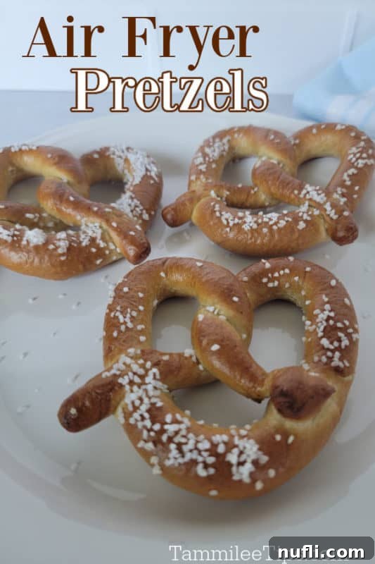 30 Simple Flavorful Vegetarian Air Fryer Dishes 20 Air Fryer Pretzels text over three pretzels on a white plate
